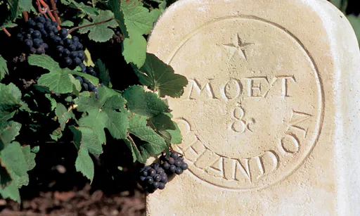 Guided Visit of Reims Champagne