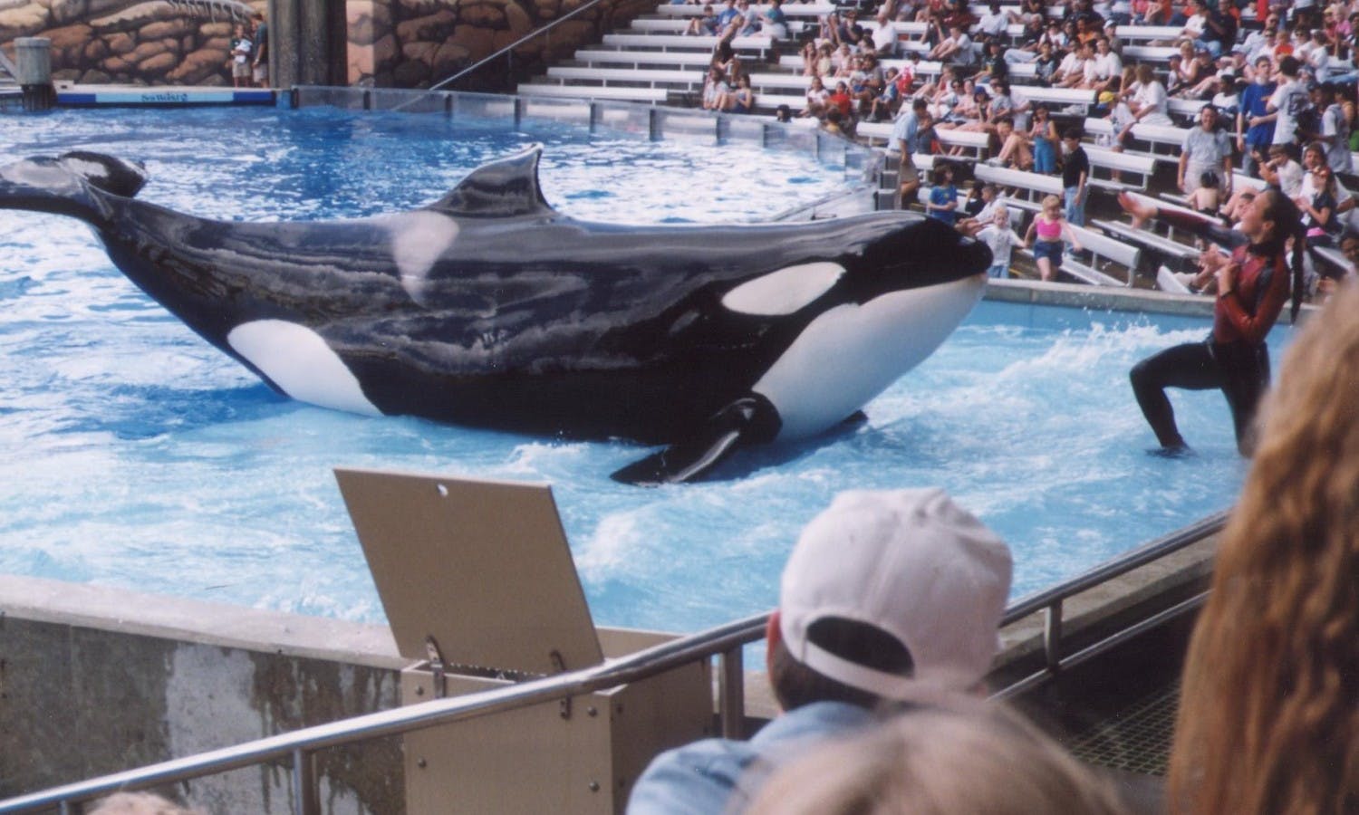 Sea World Busch Gardens 2 Parks 1 Ticket Musement