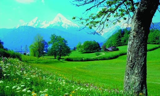 Ettal Monastery and Zugspitze Day Tour from Munich