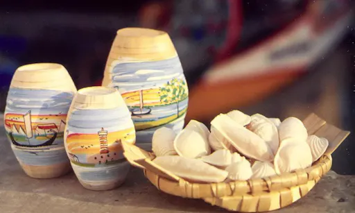 Aveiro Tour - Half Day