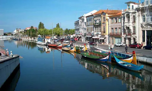 Aveiro Tour - Half Day