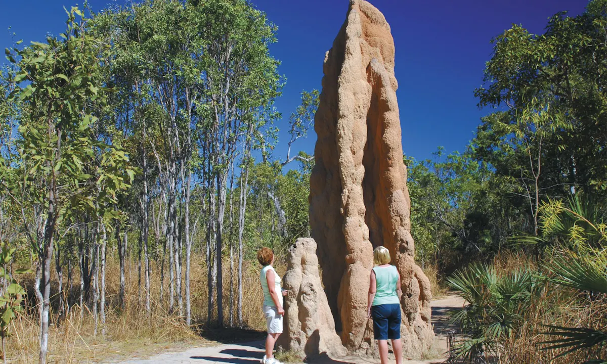Litchfield National Park Waterfalls Guided Tour