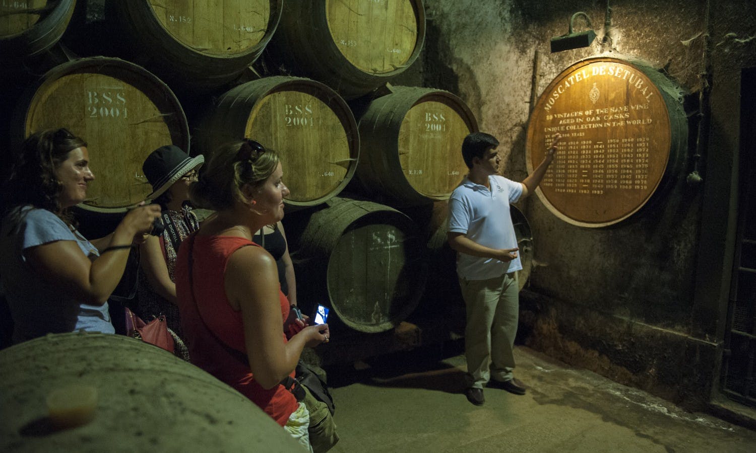 Arrábida Wine – Full Day Tour for Small Group