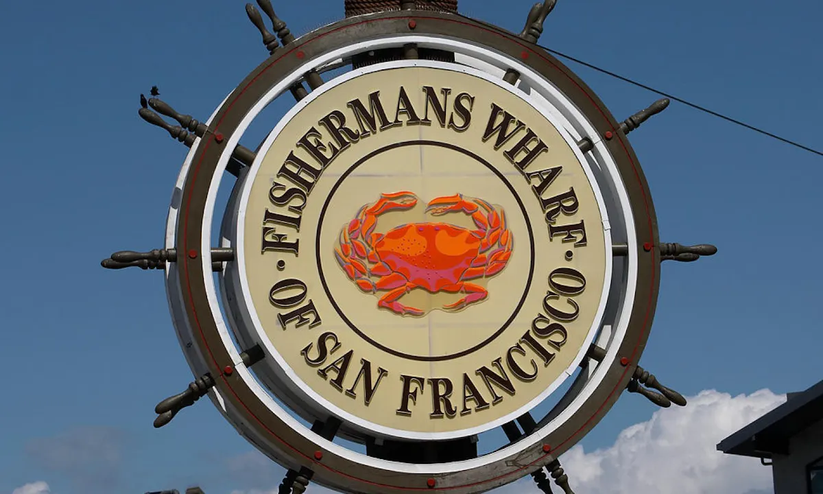 City Tour & Wine Country Tour