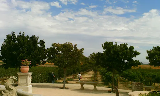 City Tour & Wine Country Tour