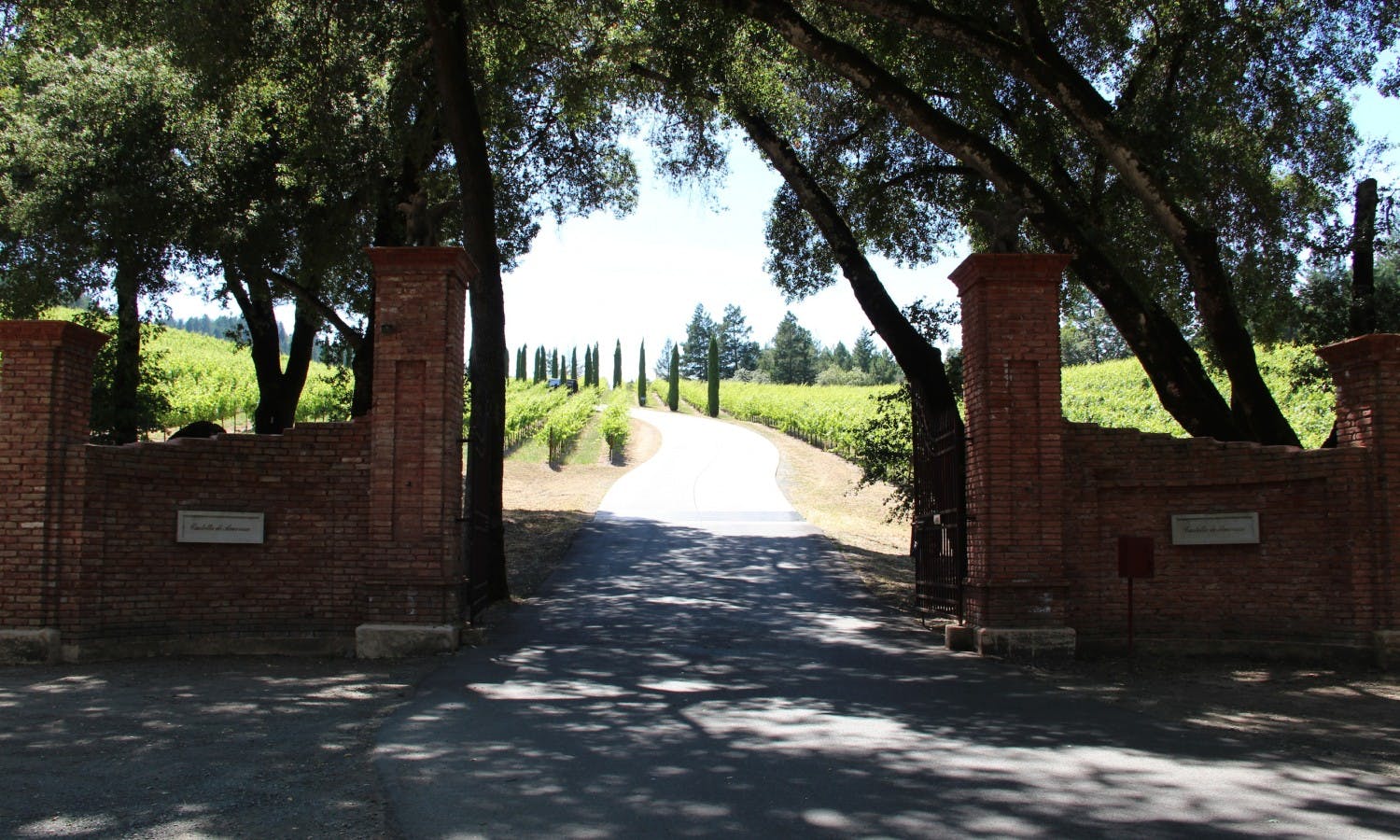 Half Day Wine Country Tour - Sonoma Valley
