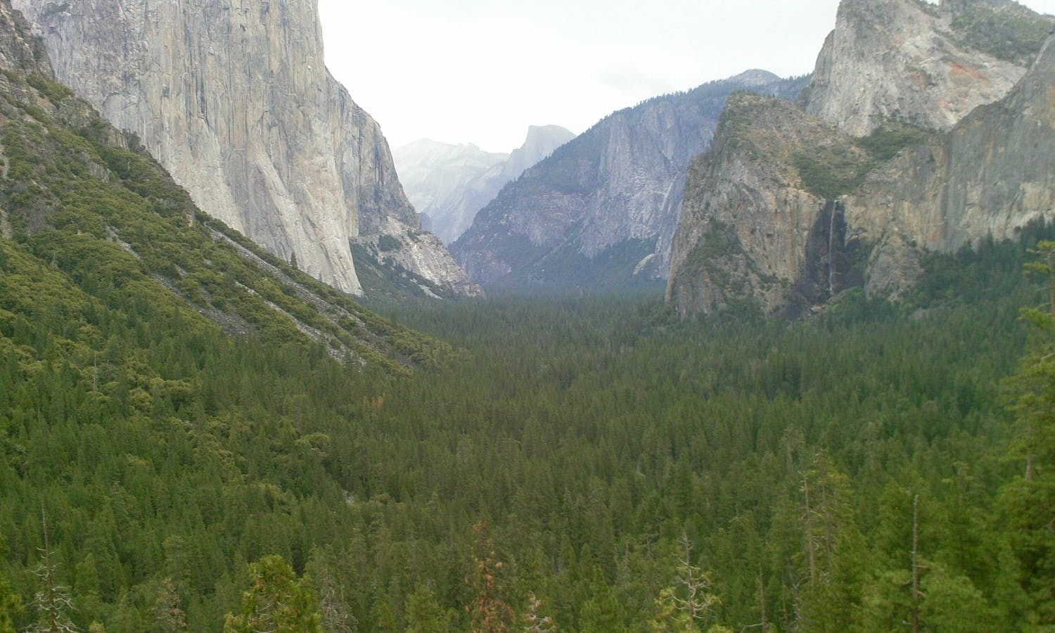 Yosemite National Park: Guided Day Tour