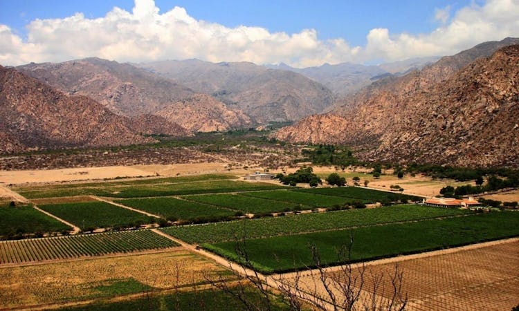Day-trip to Cafayate from Salta with Calchaqui valley winery