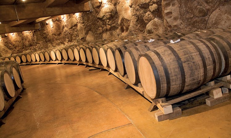 Chianti: Afternoon Wine Cellar Tour with Sampling of Wines, Oil and Balsamic Vinegar
