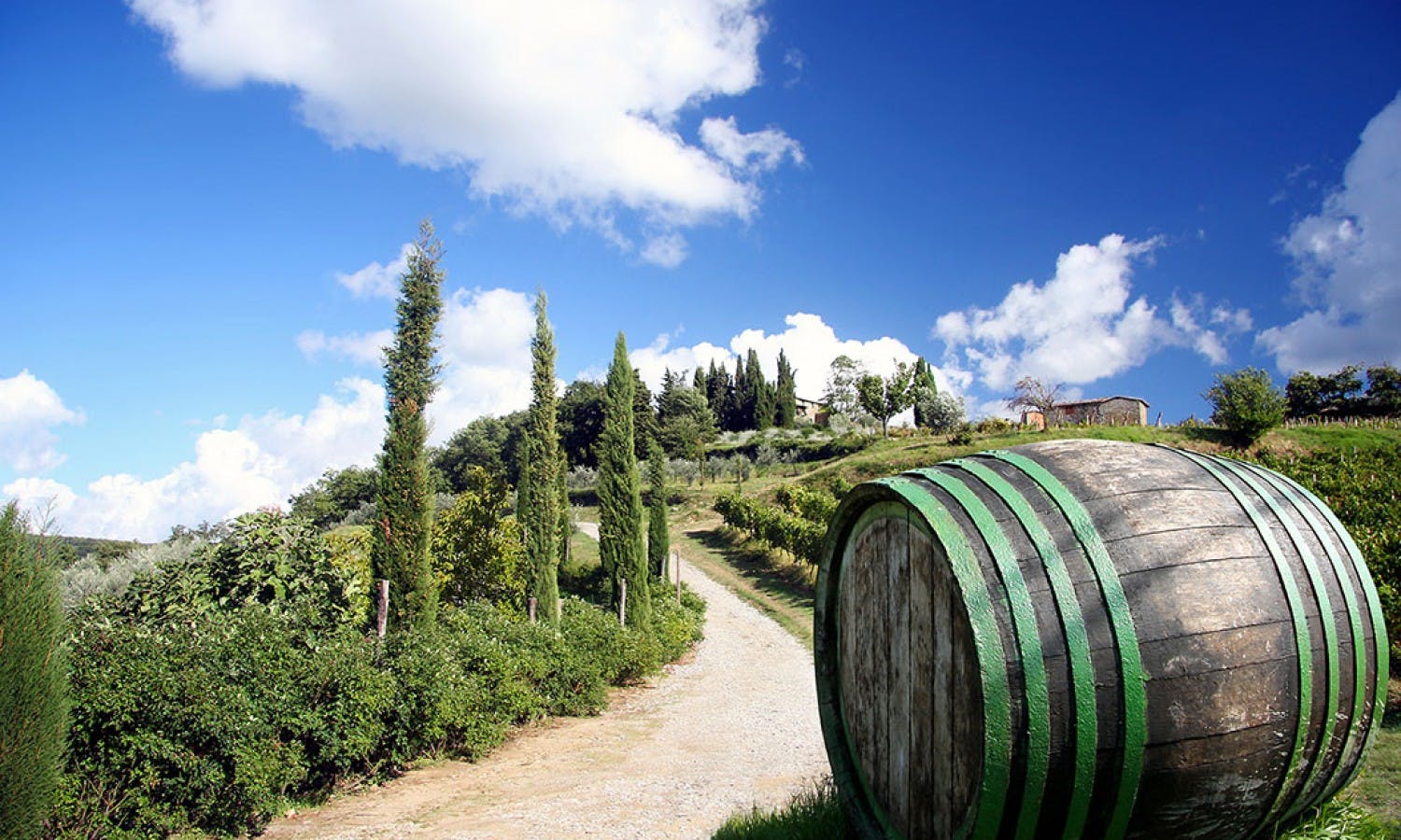 Chianti: Afternoon Wine Cellar Tour with Sampling of Wines, Oil and Balsamic Vinegar
