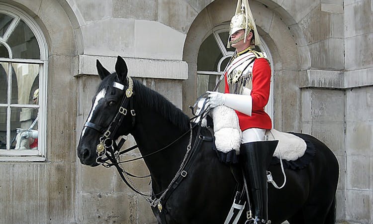 Buckingham Palace - Tour and Tickets - Changing of the Guard - Horse