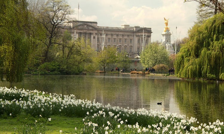 Buckingham Palace - Tour and Tickets - River View