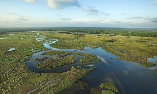 miami - everglades - tour - swamp helicopter shot