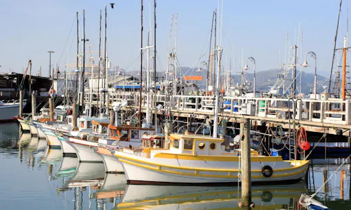 San Francisco City and Muir Woods guided tours package with transportation