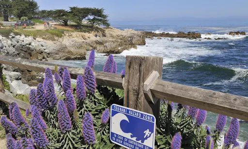 Trip to Monterey Peninsula and Carmel: Spectacular Ocean Roads