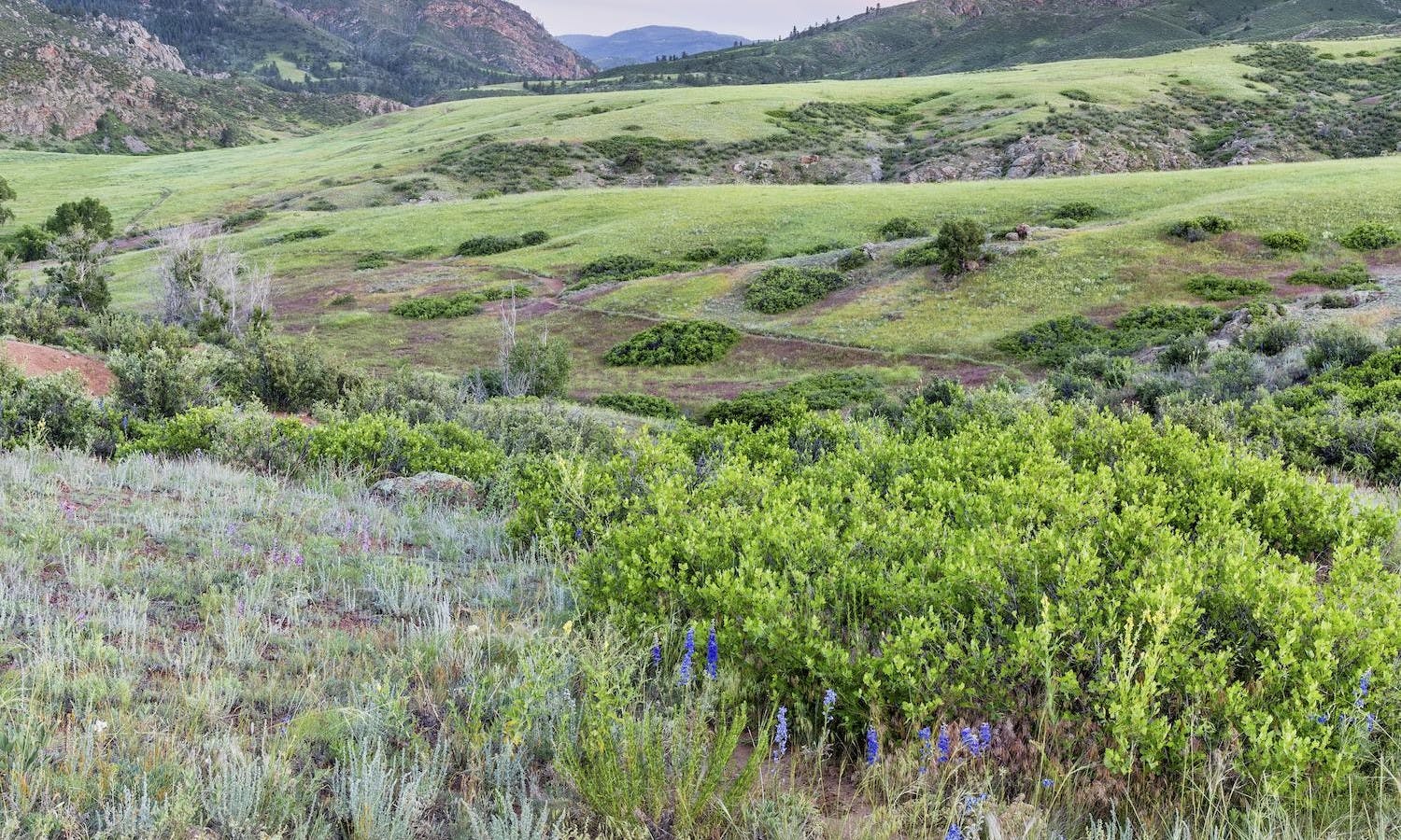 Denver Mountain Parks Tour