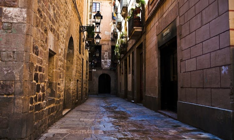 Las Ramblas and Gothic Quarter private tour with a local guide