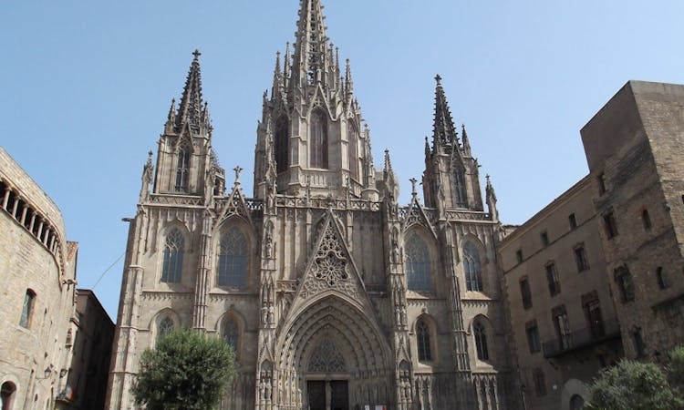 Las Ramblas and Gothic Quarter private tour with a local guide