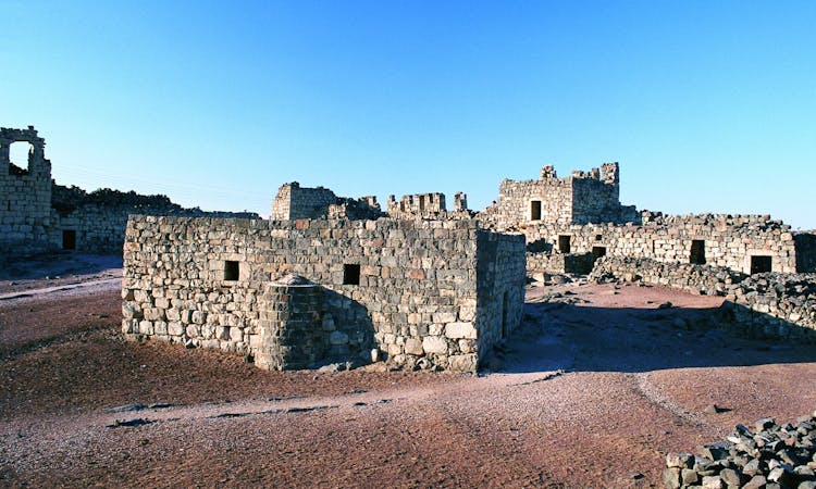 Half-day tour to Umayyad desert castles