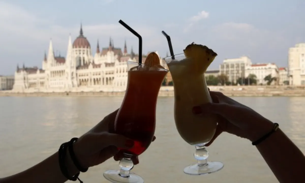 Cocktail and Beer Cruise on the Danube River