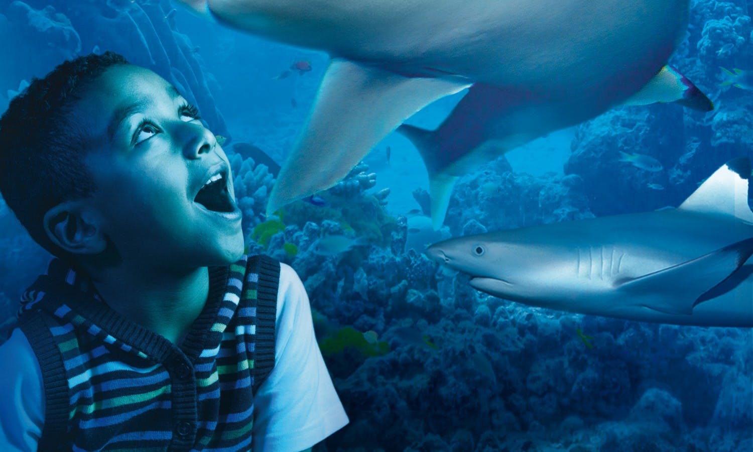 Sea Life London Aquarium: Priority Tickets with Behind the Scenes Tour