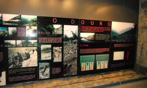 Porto Wine & Gastronomy - Bike Tour