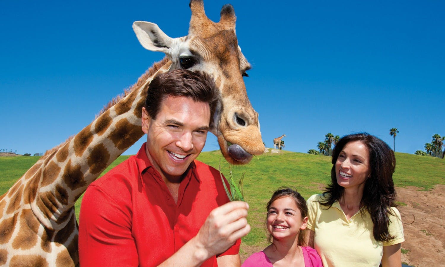 San Diego Zoo Safari Park Tickets - 1-Day Pass