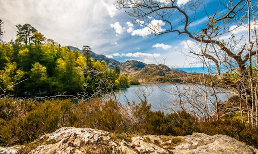 Day Trip to Loch Lomond, The Trossachs & Stirling Castle from Edinburgh