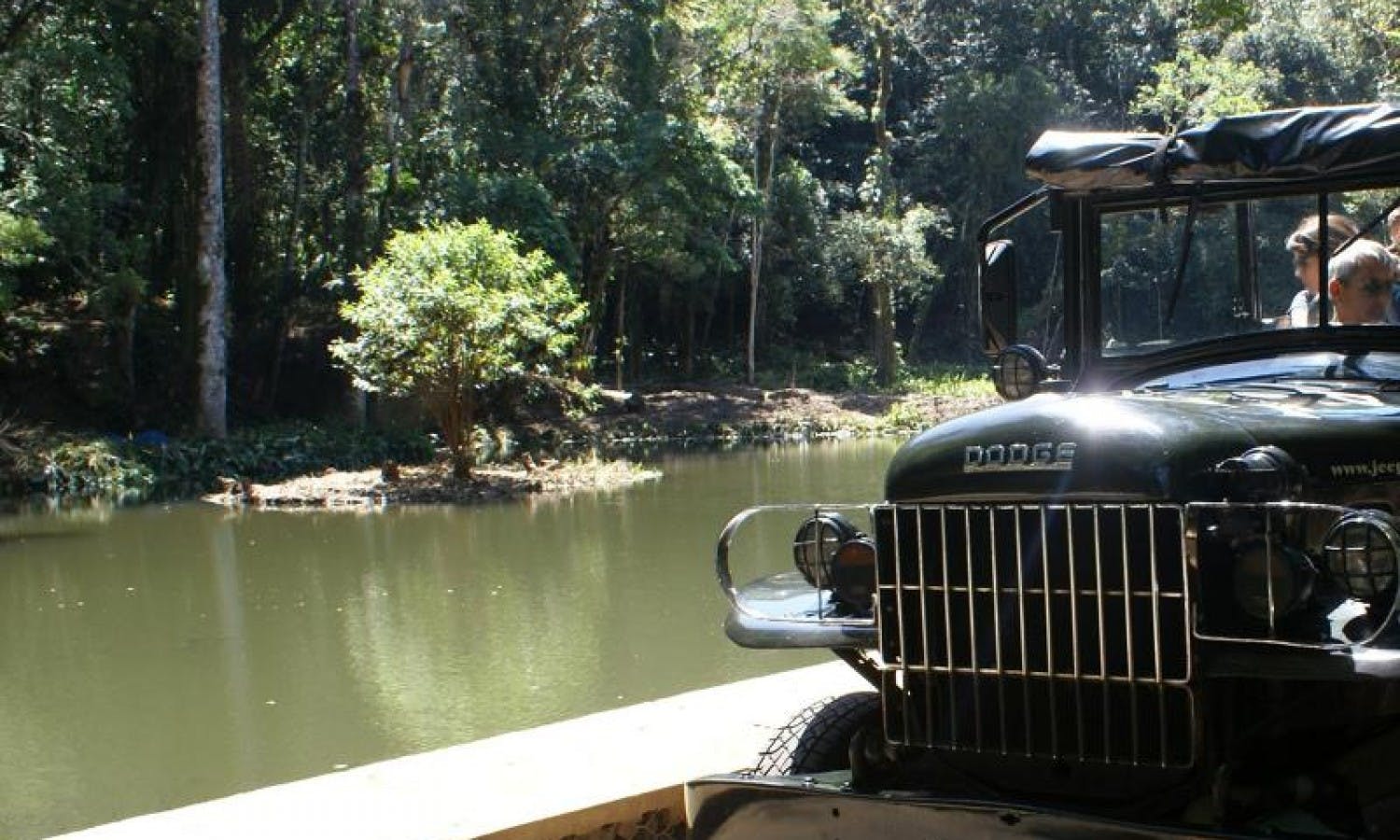 Rainforest Jeep Tour with Botanical Garden