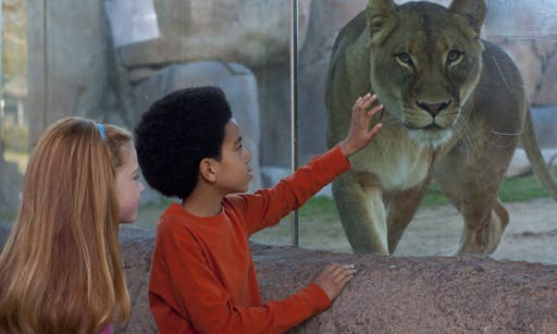 San Diego Zoo Safari Park Tickets - 1-Day Pass