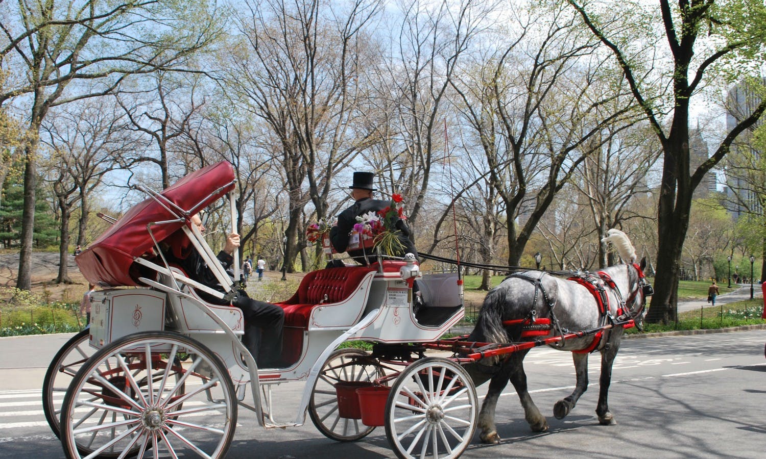 central park tours horse carriage