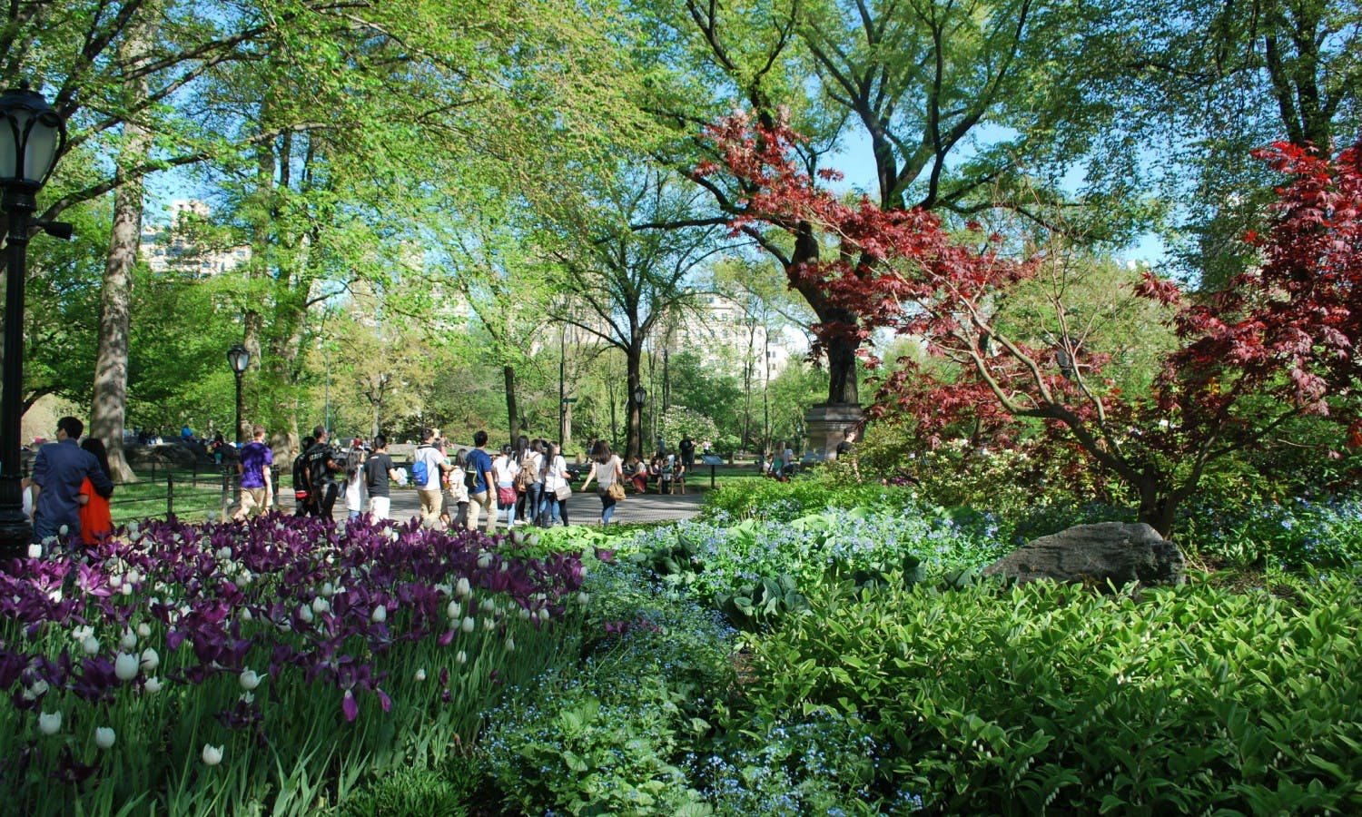 Central Park walking tour