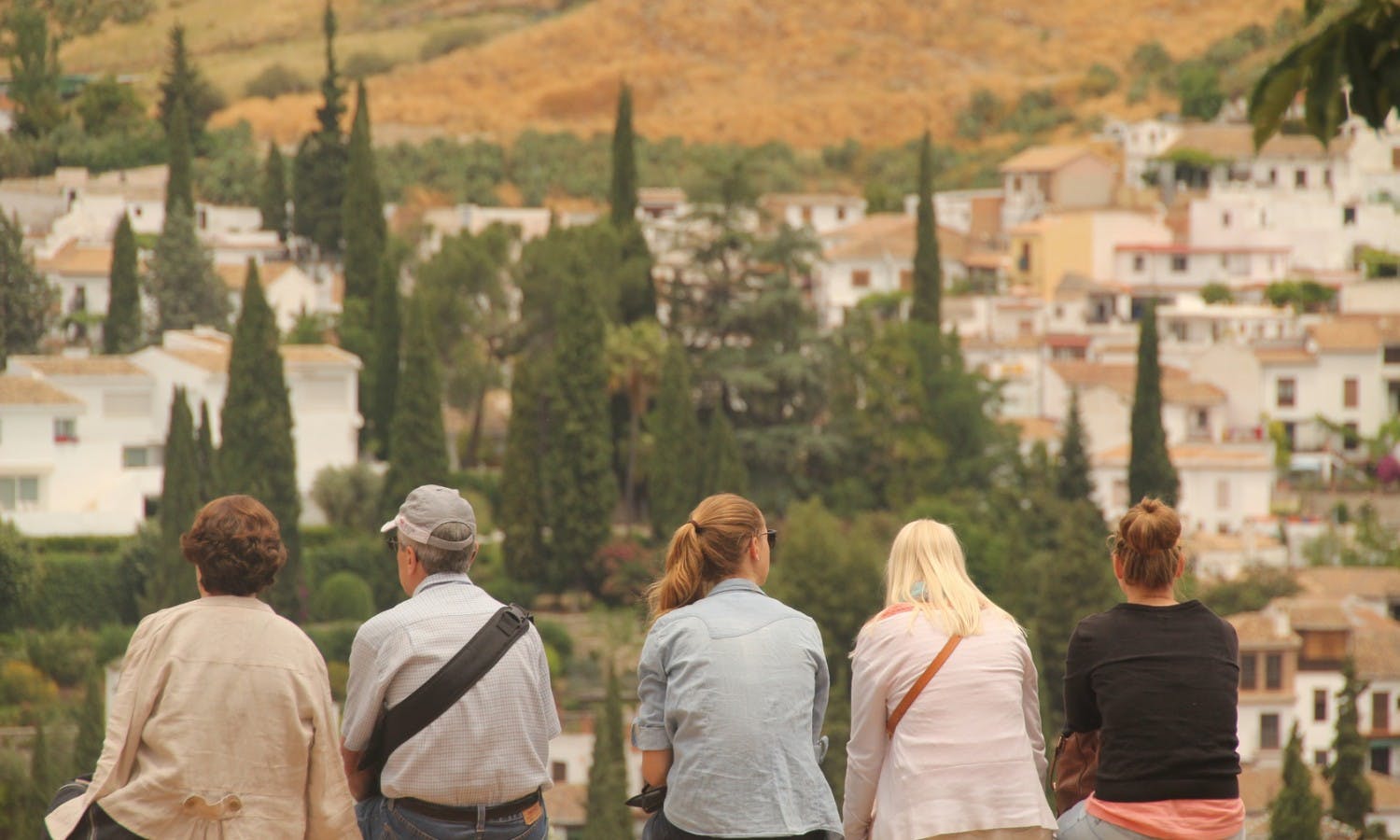 Alhambra guided tour with flamenco show