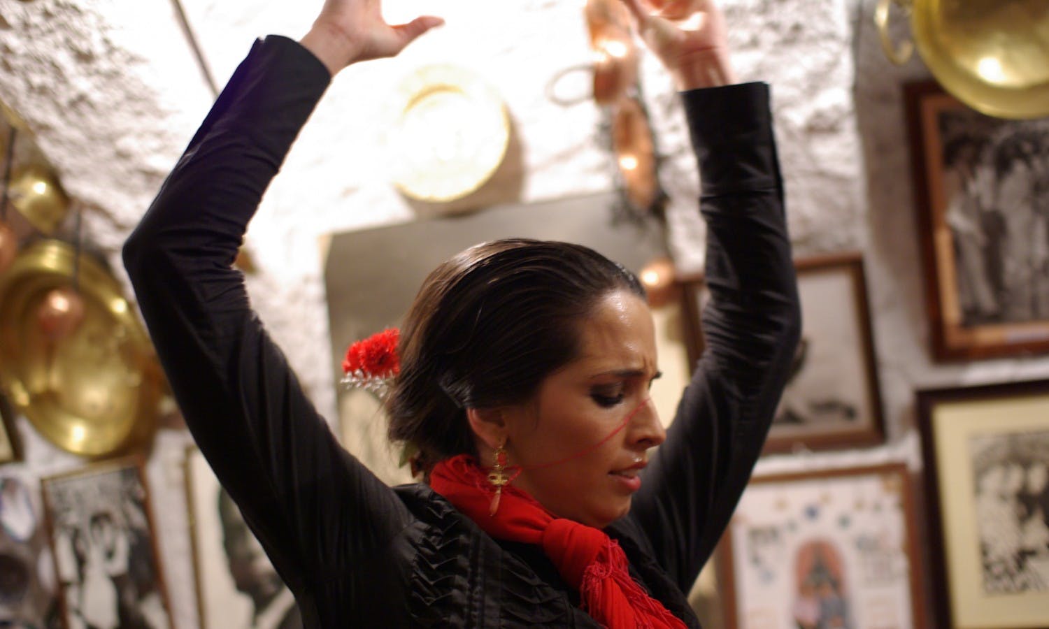 Alhambra guided tour with flamenco show