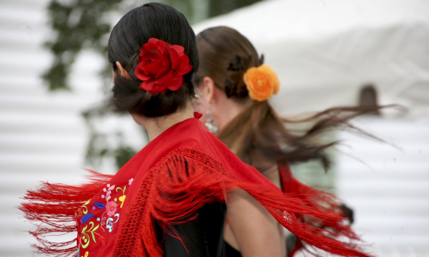 Alhambra guided tour with flamenco show
