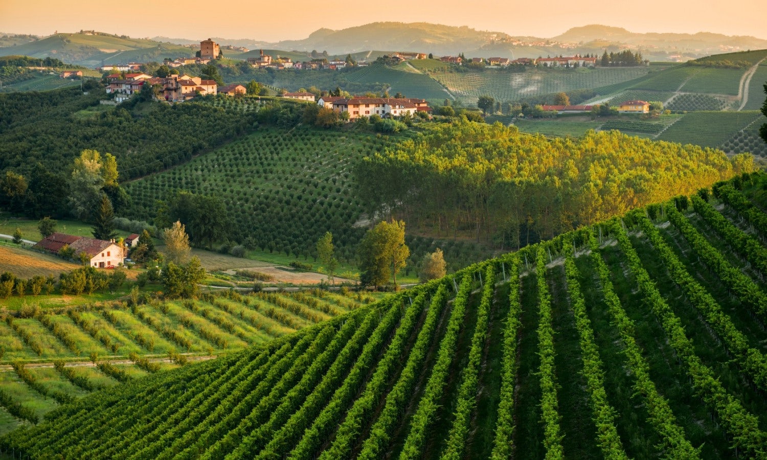 Sehenswürdigkeiten & Museen in Turin musement