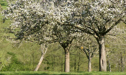 Normandy: One Day Excursion to Honfleur and the Pays d'Auge with Cheese Tasting - from Paris-0