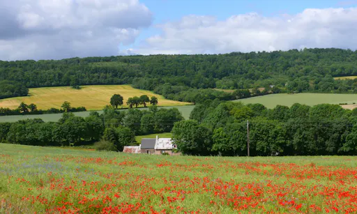 Normandy: One Day Excursion to Honfleur and the Pays d'Auge with Cheese Tasting - from Paris-2