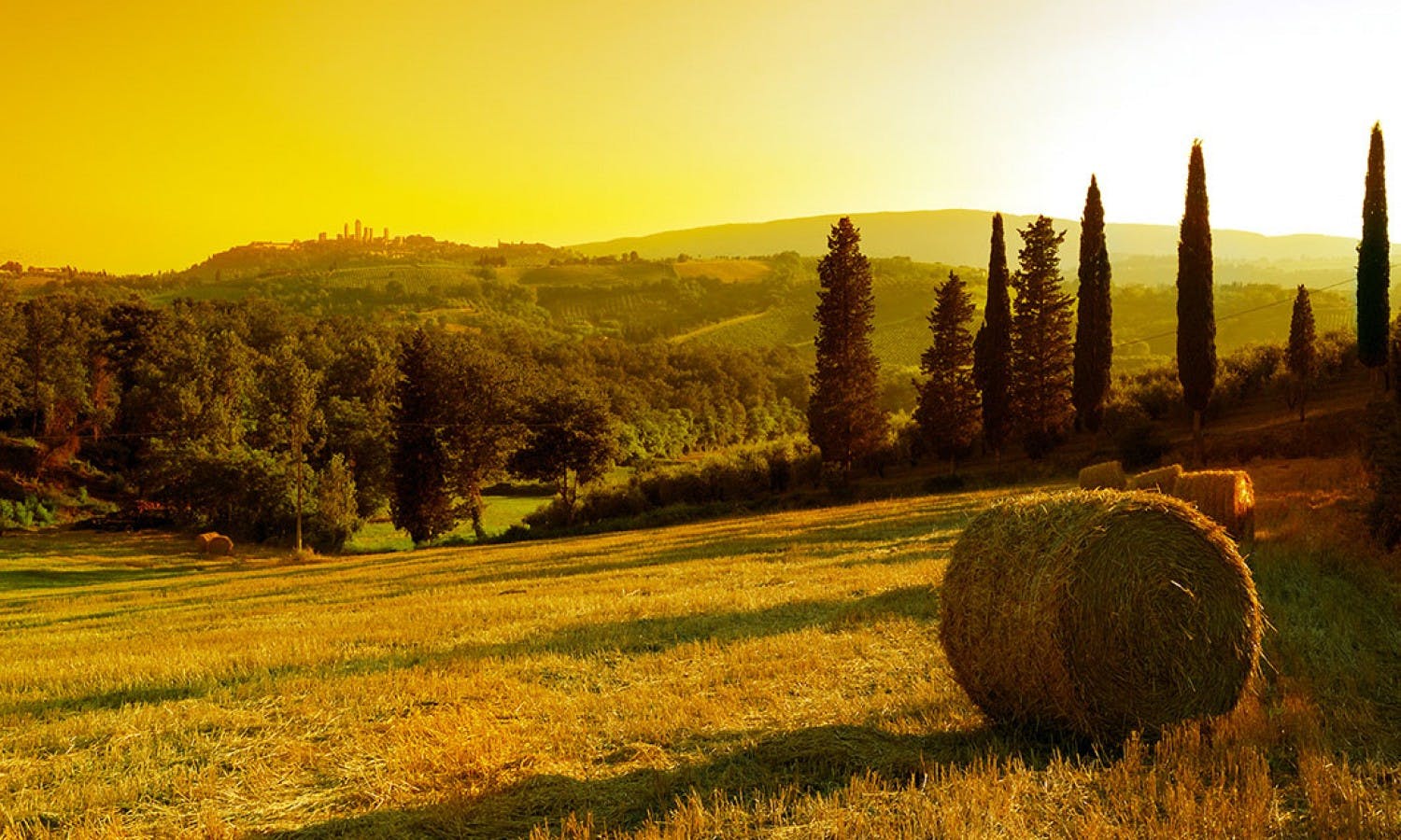 Chianti and San Gimignano grand tour from Siena-5