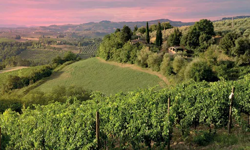 Brunello grand tour from Siena-5