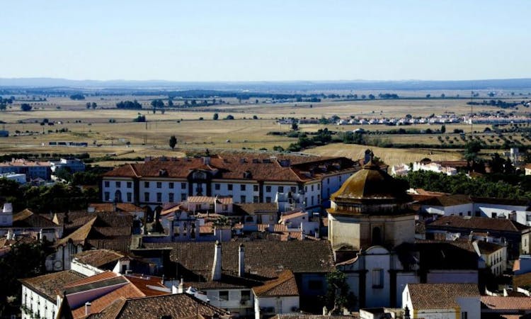 Évora wine tour from Lisbon