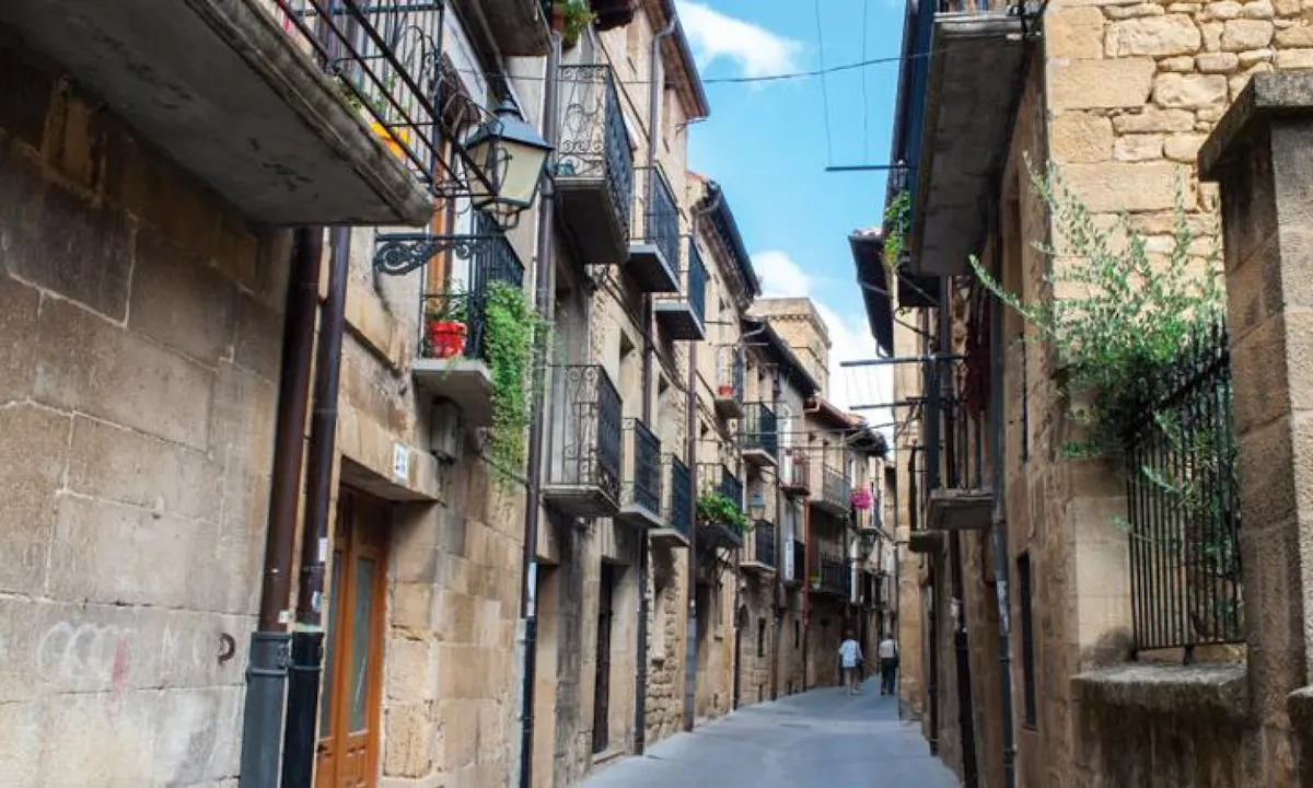 Vitoria a Rioja Wine Area Full day tour-0