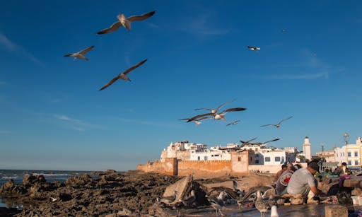Essaouira city view, Morocco.jpg