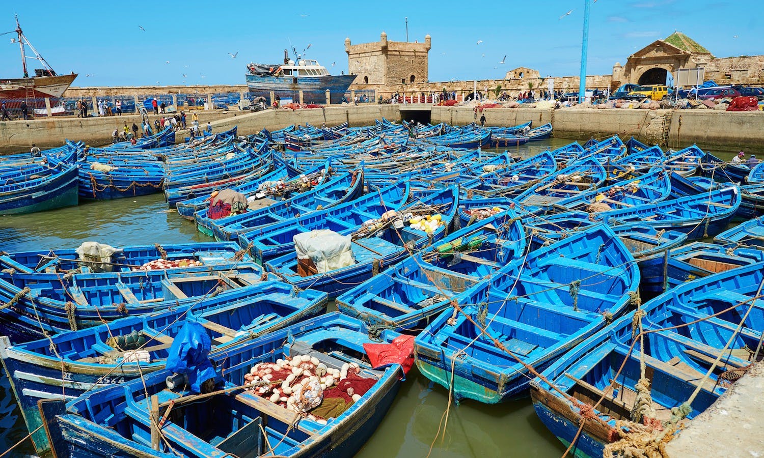 Colorful port of Essaouira.jpg