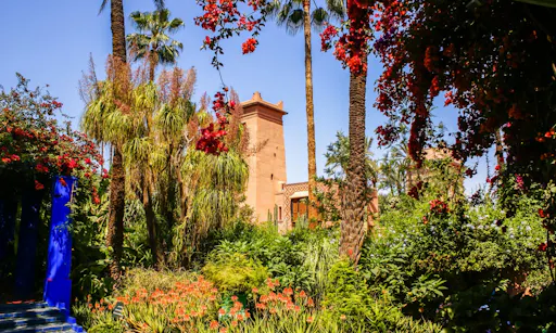 Jardin de Majorelle.jpg