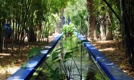 Majorelle Gardens in Marrakesh in Morocco.jpg