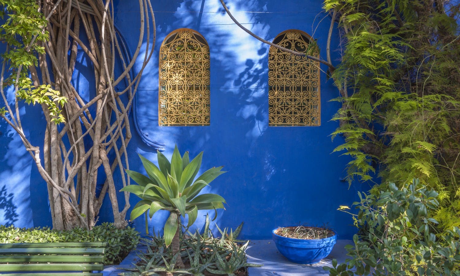 Majorelle Gardens in Marrakesh, Morocco.jpg