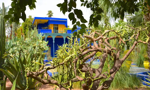 Majorelle Gardens.jpg