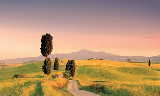 Montalcino, Pienza and Montepulciano Enogastronomic Grand Tour from Siena-1