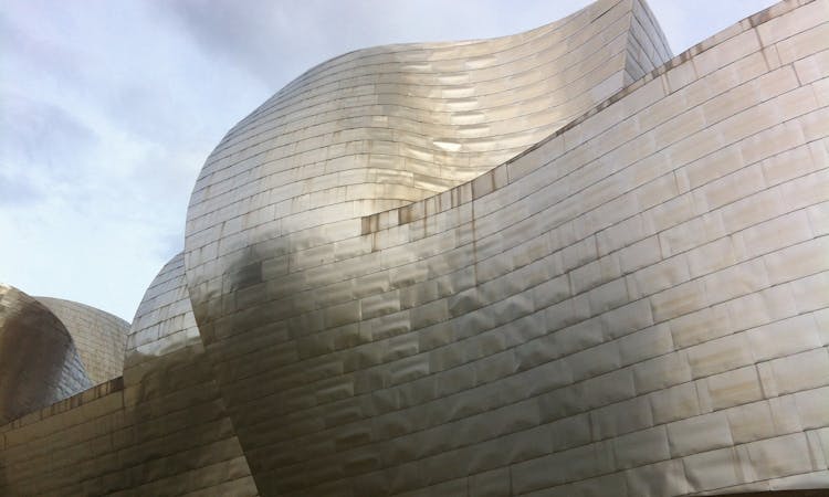 Guggenheim Bilbao Museum private tour